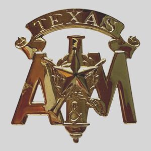 Texas A&M Vintage Gold Tone Corps Of Cadets Campaign Hat Insignia